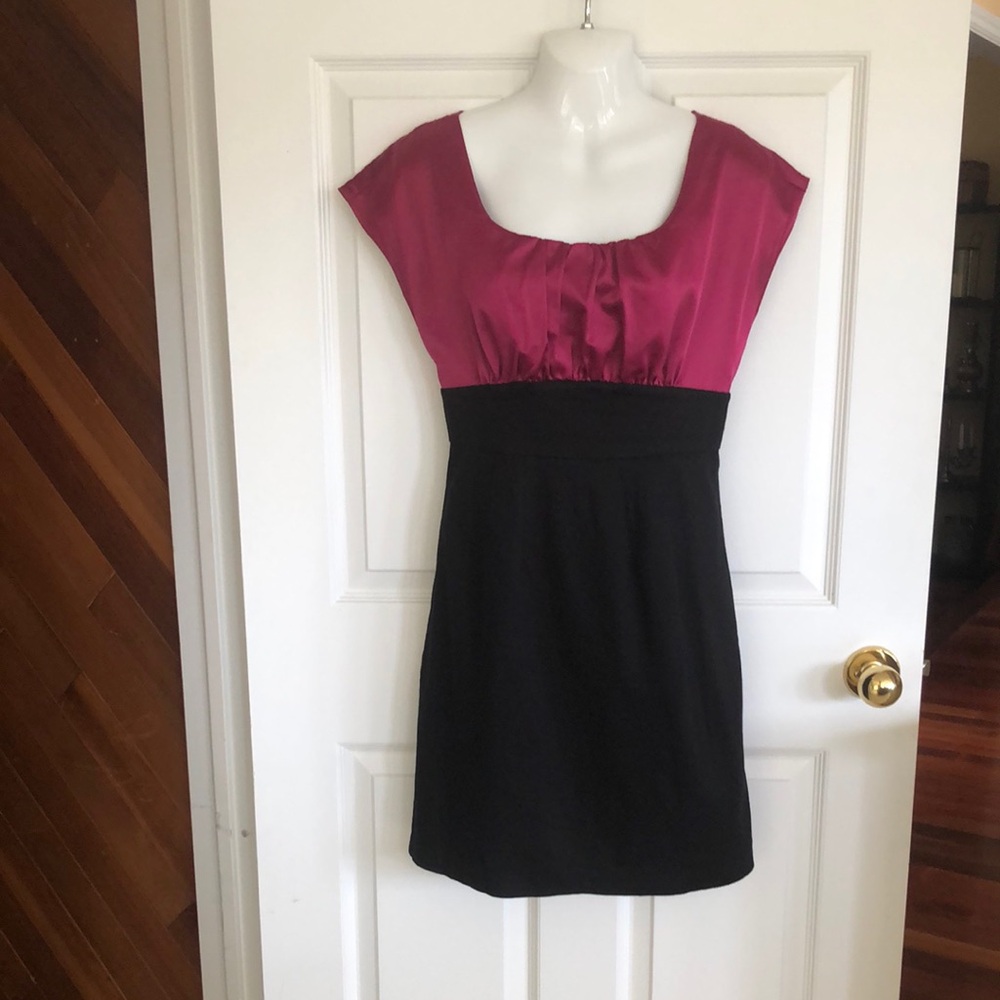 Smart Set Fuchsia and Black Mini Dress
